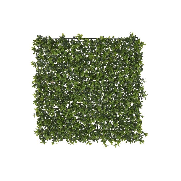 Jardin Vertical  DKD Home Decor Verde 50 x 5 x 50 cm (4 Unidades)