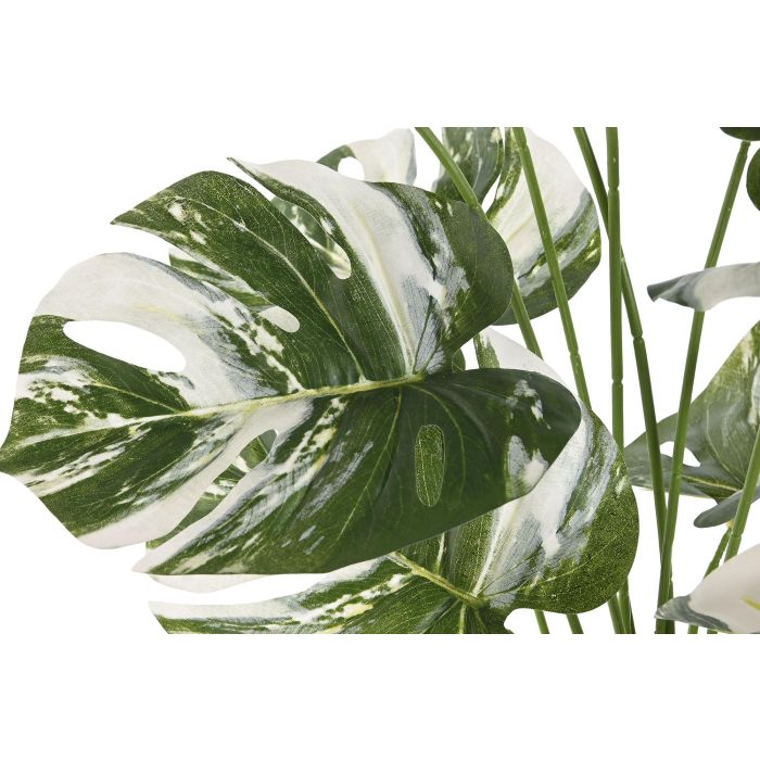 Planta  DKD Home Decor Verde Blanco 46 x 66 x 46 cm (4 Unidades) 1