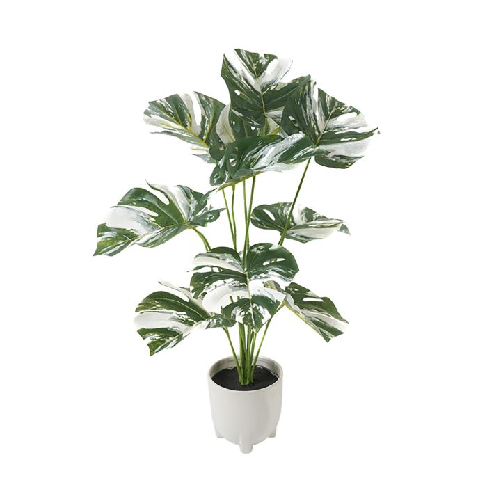 Planta DKD Home Decor Verde Blanco 46 x 66 x 46 cm (4 Unidades)