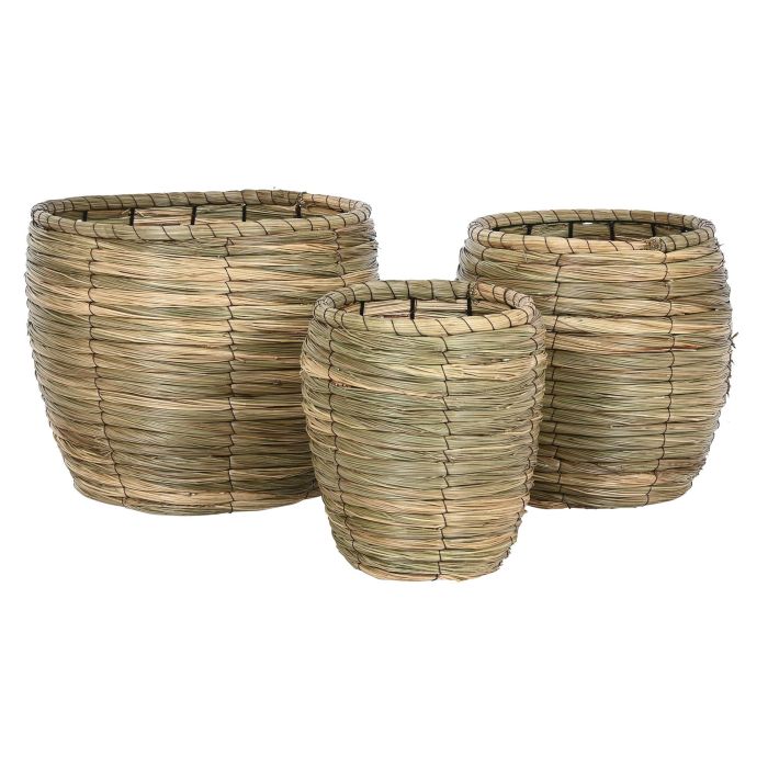 Macetero Tropical DKD Home Decor Marron 36 x 31 x 36 cm Set de 3 (4 Unidades) 2