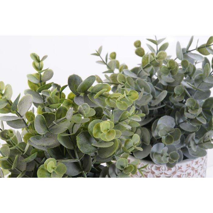 Planta  DKD Home Decor Verde Verde Musgo 10.5 x 24 x 10.5 cm (6 Unidades) 2