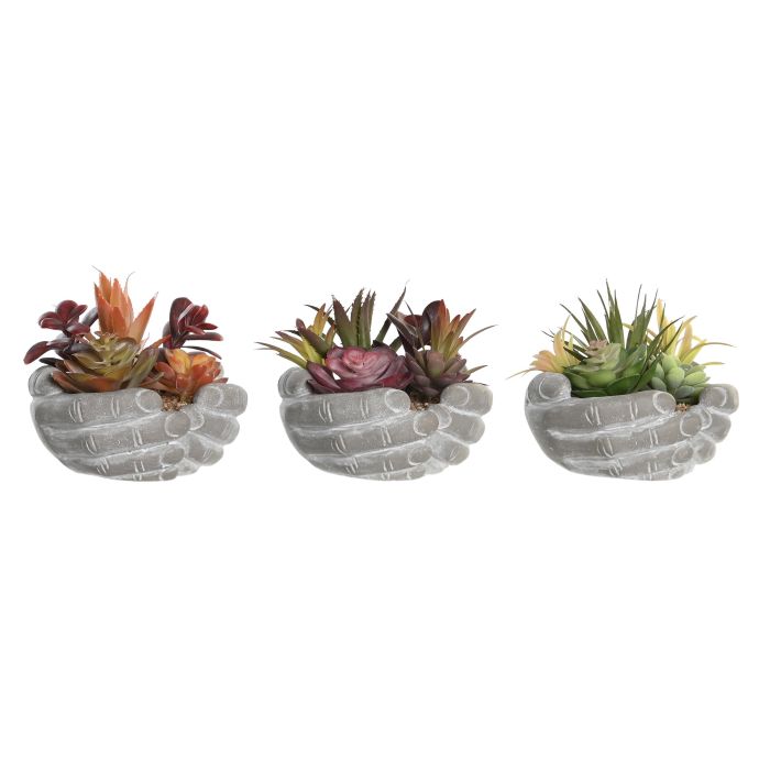 Planta  DKD Home Decor Multicolor 17 x 16.5 x 18 cm (6 Unidades)