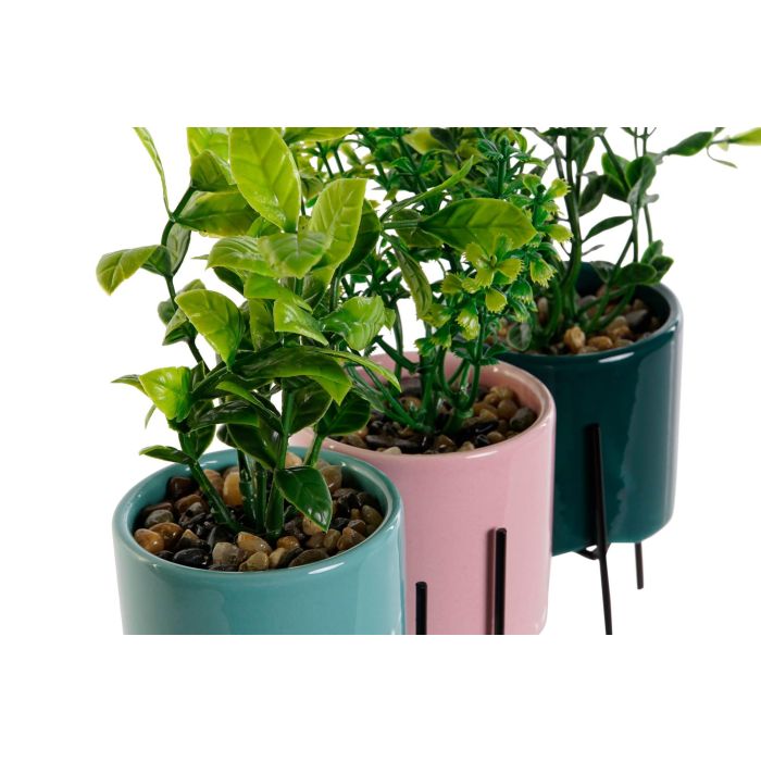 Planta  DKD Home Decor Rosa Turquesa 7 x 22 x 7 cm (6 Unidades) 2