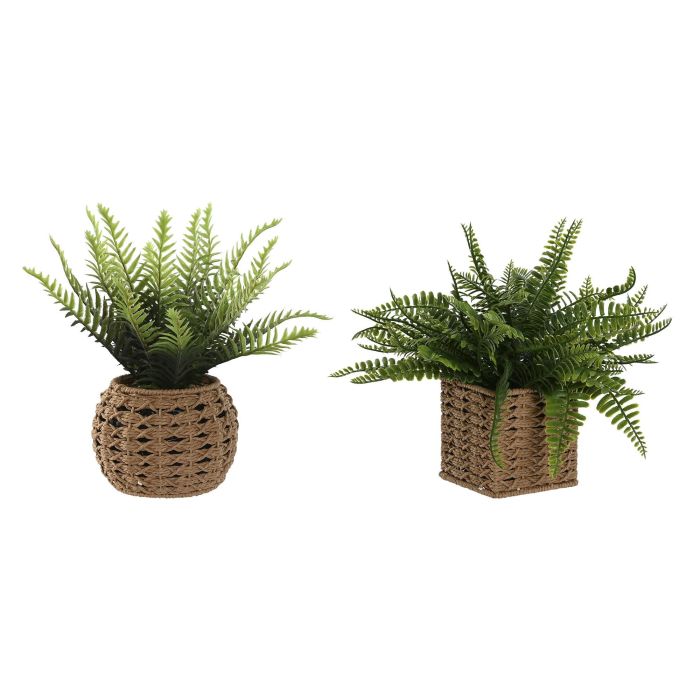 Planta DKD Home Decor Natural Verde 33 x 29 x 33 cm (6 Unidades)