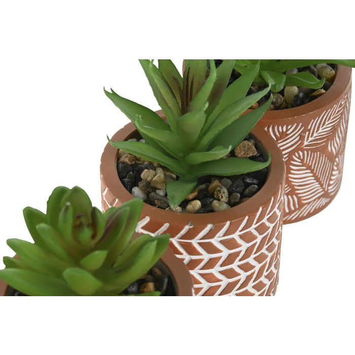 Planta  DKD Home Decor Terracota Verde 7.5 x 16.5 x 7.5 cm (6 Unidades) 2