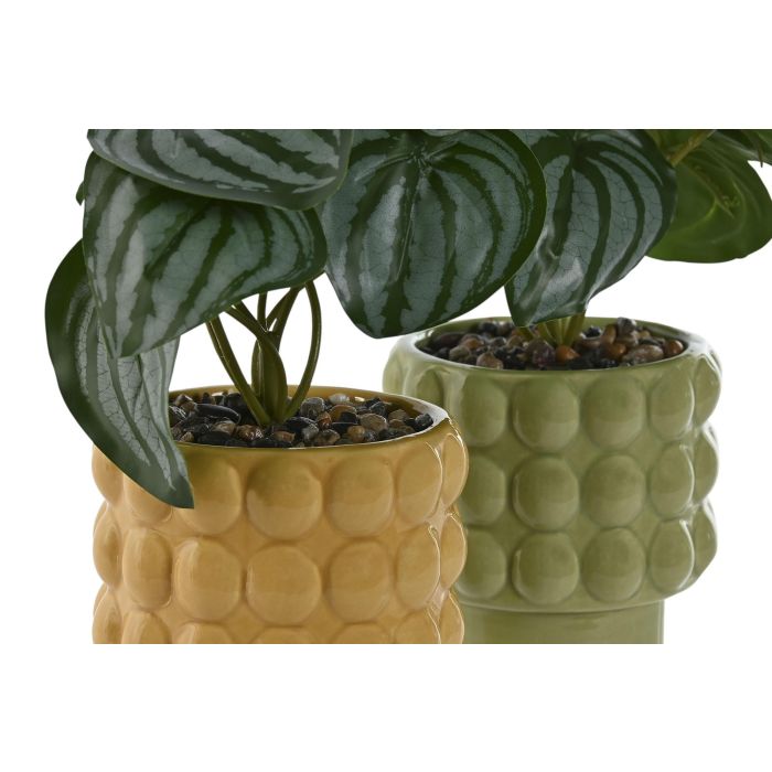 Planta Urban DKD Home Decor Verde Mostaza 9 x 19 x 9 cm (6 Unidades) 1