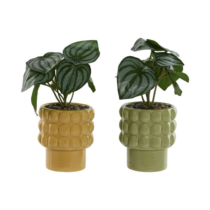 Planta Urban DKD Home Decor Verde Mostaza 9 x 19 x 9 cm (6 Unidades)