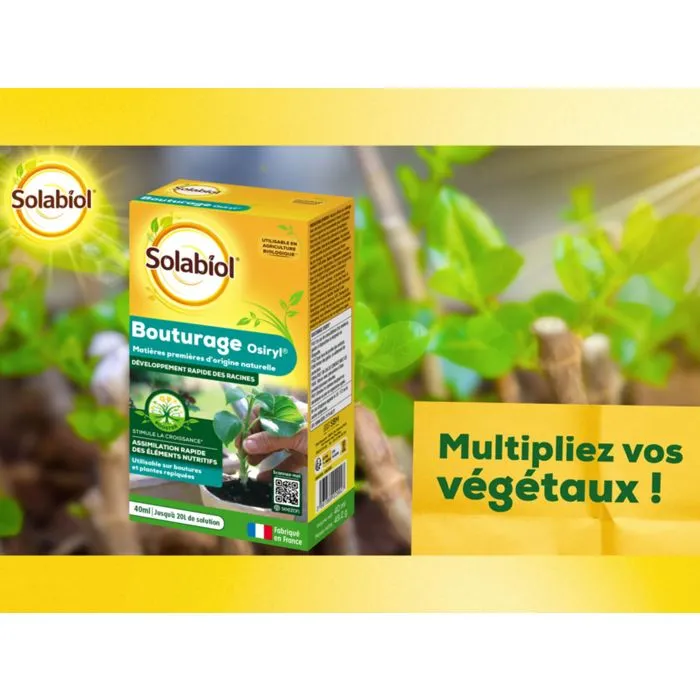 Solabiol SOBOUTU40 Osiryl Corte - Estimula el Enraizamiento de Esquejes y Plantas Trasplantadas - 40 ml 3
