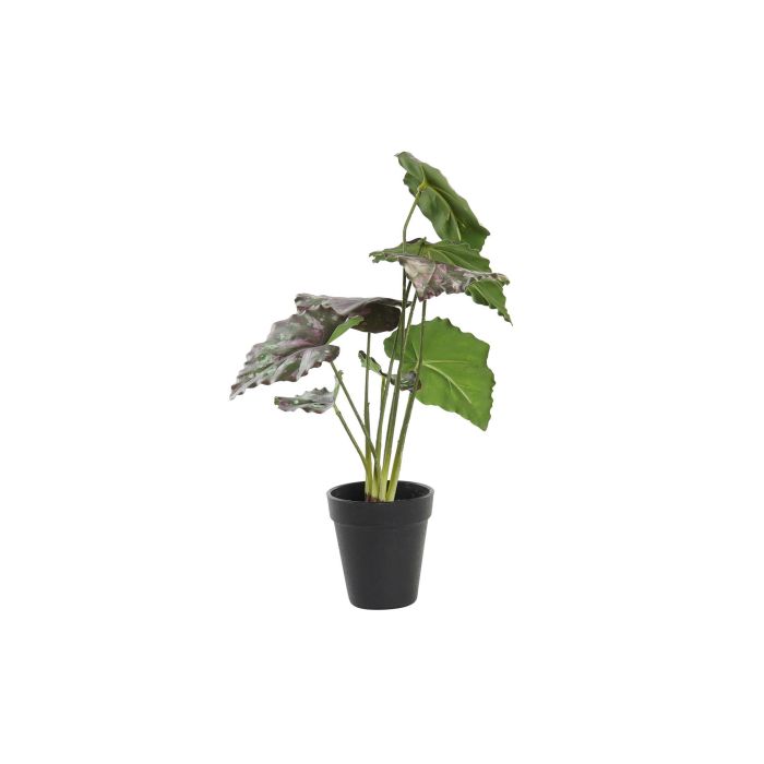 DKD Home Decor Planta Artificial de PE, Verde y Rosa, Set de 6 Unidades, 20 x 20 x 39 cm