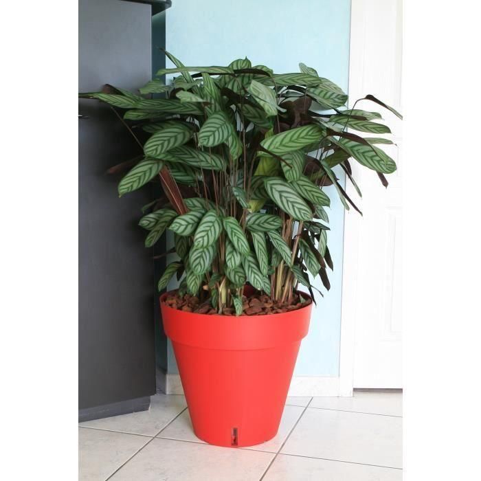 Maceta RIVIERA Loft con reserva de agua - Redondo - Ø 50 x H 46 cm - Rojo Maceta RIVIERA Loft con reserva de agua - Redondo - Ø 50 x H 46 cm - Rojo