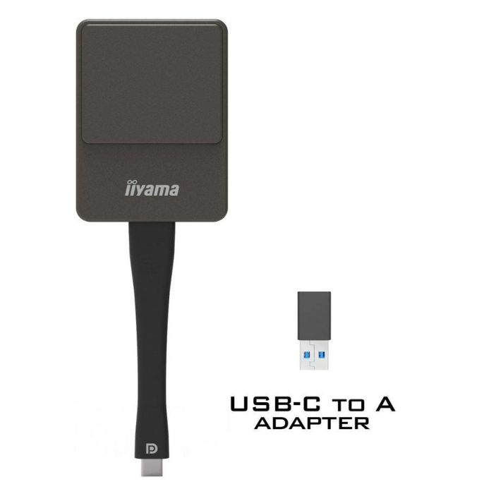 iiyama WP D002C adaptador Smart TV USB 4K Ultra HD Negro, Plata 1