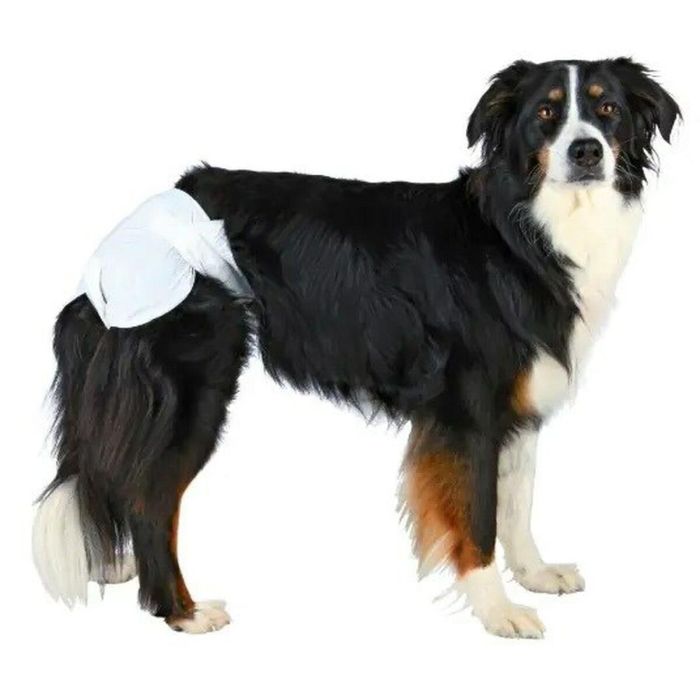 Pañales Trixie 23634 Perro M/L 2