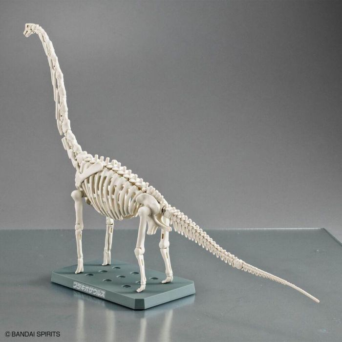 Maqueta Plannosaurus Brachiosaurus 3 Maqueta Plannosaurus Brachiosaurus 3