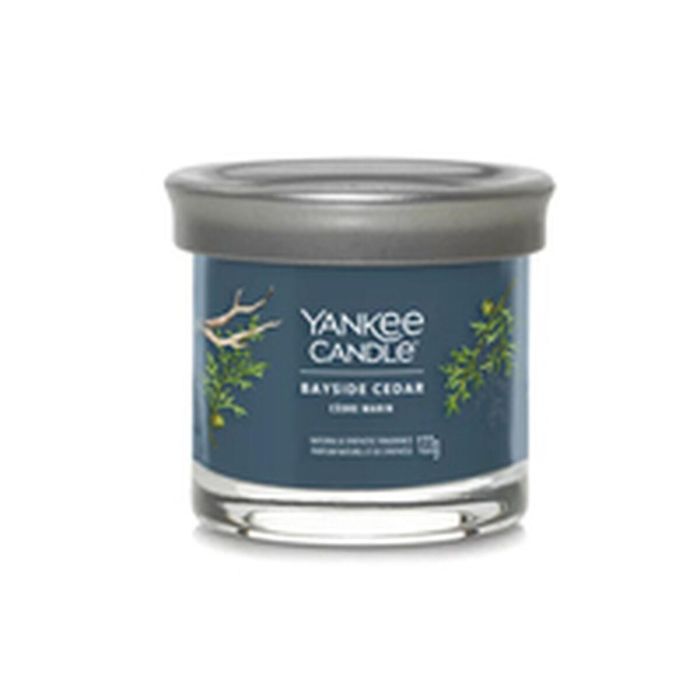 Vela Perfumada Yankee Candle Bayside Cedar 122 ml 5