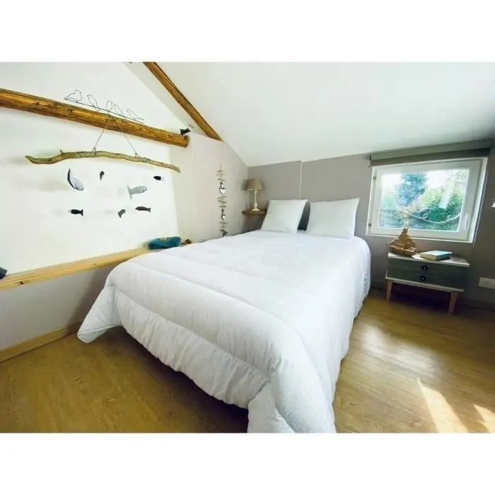 Dodo Edredón Nórdico Templado 140x200 cm 1 Persona Protección Antiinsectos Antiácaros 300 g/m² Blanco Hecho en Francia DOD3307419674080 Dodo Edredón Nórdico Templado 140x200 cm 1 Persona Protección Antiinsectos Antiácaros 300 g/m² Blanco Hecho en Francia DOD3307419674080