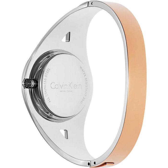 Reloj Mujer Calvin Klein K8E2S1Z6 (Ø 24,5 mm) 1