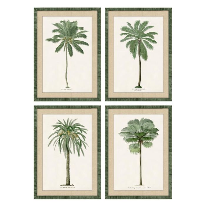 DKD Home Decor Cuadro Tropical con Palmeras de Ratán y Cristal Surtido 70x50x2.5 cm Verde Beige (4 Unidades)