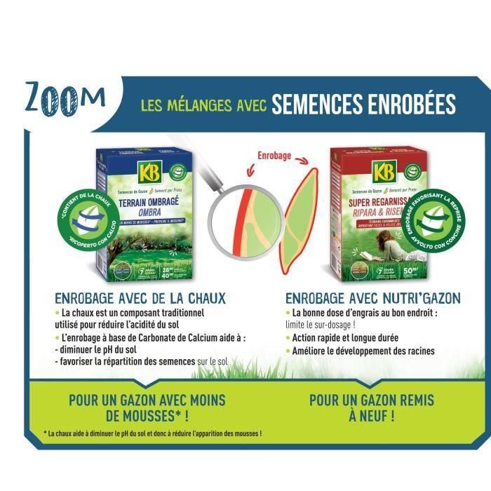 KB KREGFAC100 Semillas de césped - Super Replenishing 2 kg - Para zonas de sombra - Germinación rápida 7 días - Para 100m² 2