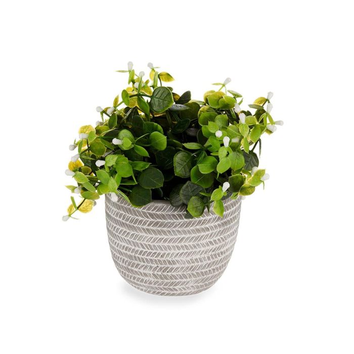 Planta Verde Flor Blanca Con Maceta Gris Ibergarden 20X20CM (8 Unidades) 1 Planta Verde Flor Blanca Con Maceta Gris Ibergarden 20X20CM (8 Unidades) 1