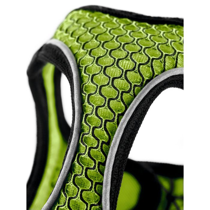 Arnés Hilo Comfort S Cuello: 42-48 cm Lima Arnés Hilo Comfort S Cuello: 42-48 cm Lima