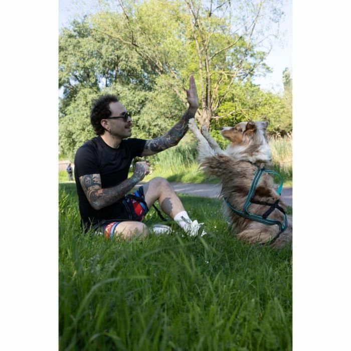 Cani C Gear Arnés de tracción para perros X-back Azul Talla L AUC3760402170301 1