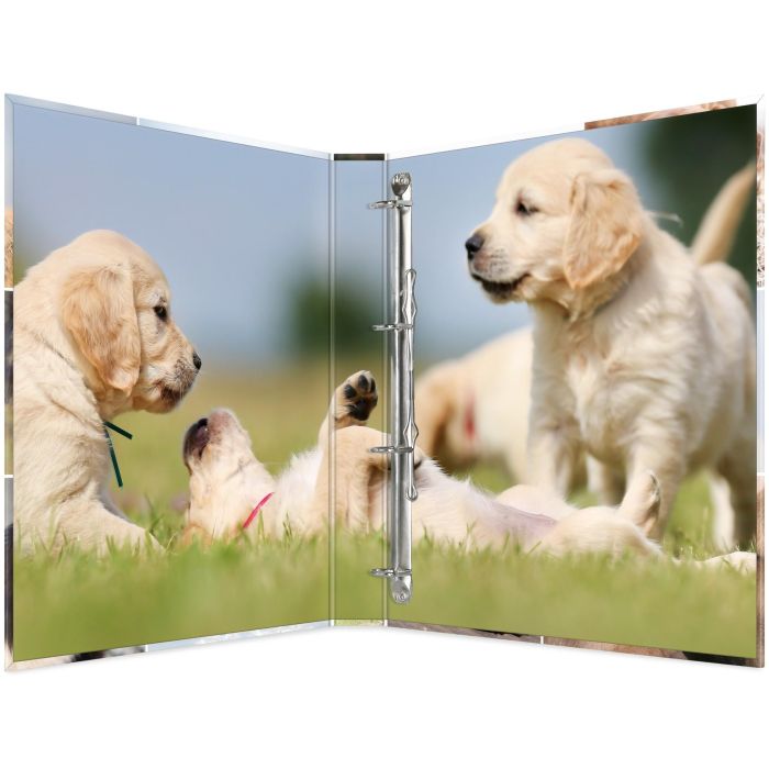 HERMA Ringbuch A4 Hunde 4D 1 HERMA Ringbuch A4 Hunde 4D 1