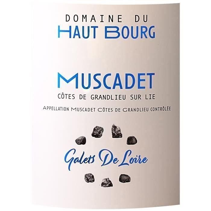 Domaine du Haut Bourg 2021 Muscadet Côtes de Grandlieu Sur Lie - Vino blanco del Loira 1