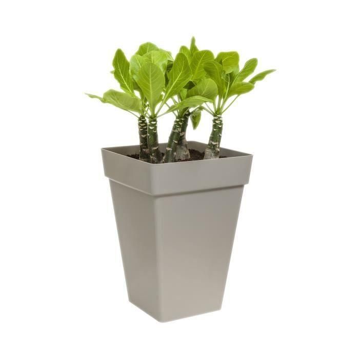 ELHO Planta contenedor cuadrado alto - 37 cm - gris antracita 1 ELHO Planta contenedor cuadrado alto - 37 cm - gris antracita 1