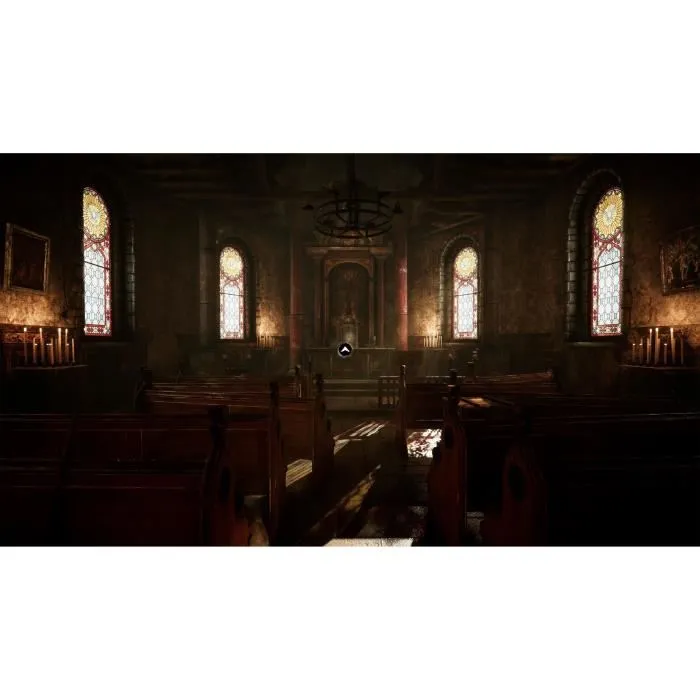 Microids The Amerzone: El Testamento del Explorador Juego PS5 3