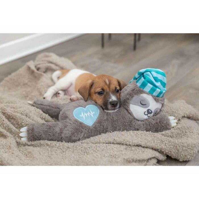 Peluche para perros Trixie Poliéster Felpa Oso perezoso 34 cm Multicolor 4 Peluche para perros Trixie Poliéster Felpa Oso perezoso 34 cm Multicolor 4