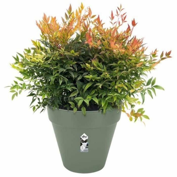 Elho Vibia ELH8711904500597 Plantilla rectangular para Tanque Ø50 Plástico Miel amarilla 4