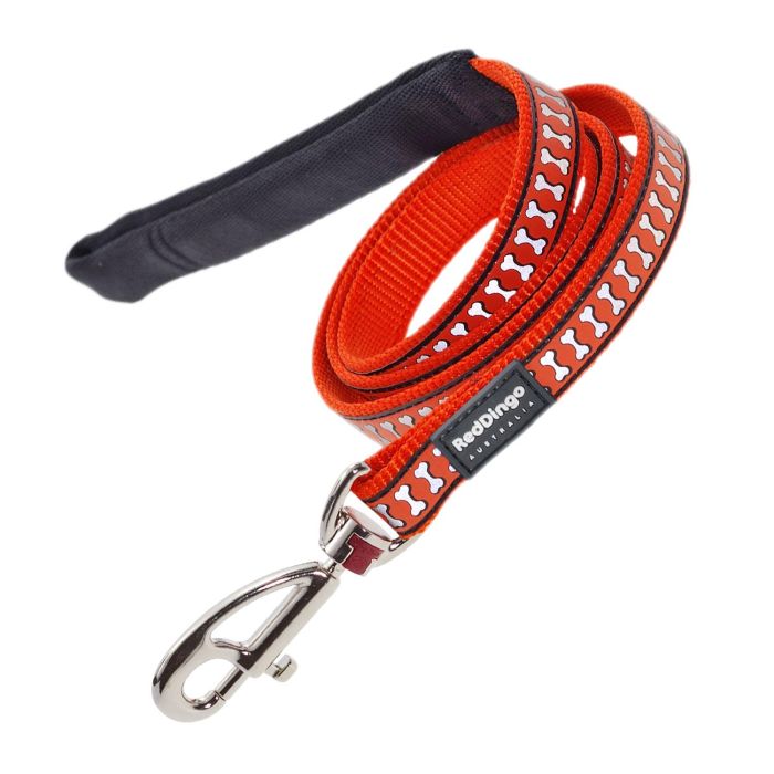Red Dingo Correa Reflectante Naranja para Perro 20mm x 1.2m de Nylon Resistente - Alta Visibilidad y Seguridad en Paseos Nocturnos
