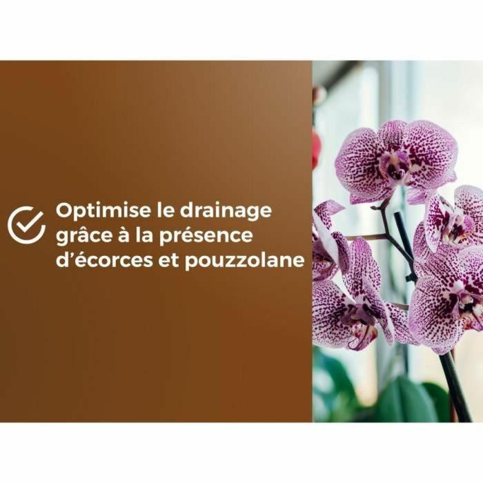 Or Brun OBRTORC6U Tierra para orquídeas BROWN GOLD 6L - Favorece el crecimiento 1