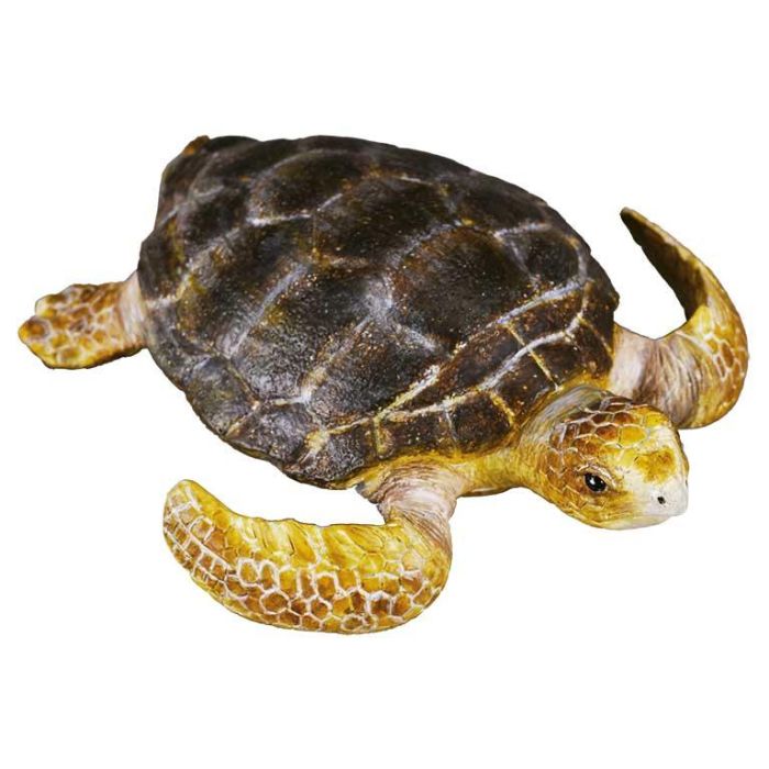 Collecta 88094 Figura Tortuga Boba M Réplica Real a Escala, Pintada a Mano, Modelada al Detalle de Alta Calidad, Animal Marino Educacional +3 Años Collecta 88094 Figura Tortuga Boba M Réplica Real a Escala, Pintada a Mano, Modelada al Detalle de Alta Calidad, Animal Marino Educacional +3 Años