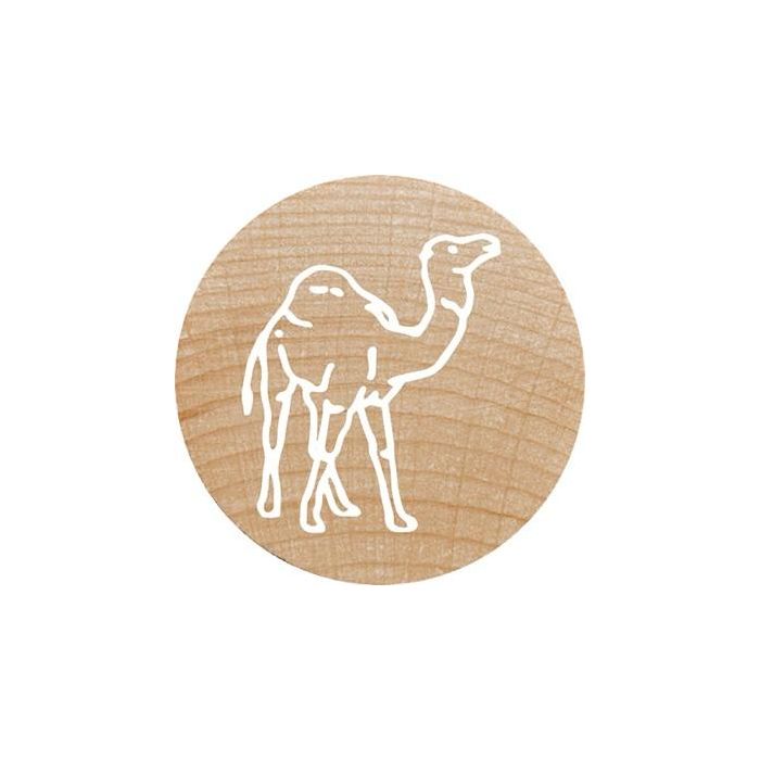 COLOP WOODIES Stempel-Set "exotic Animation" retail 2