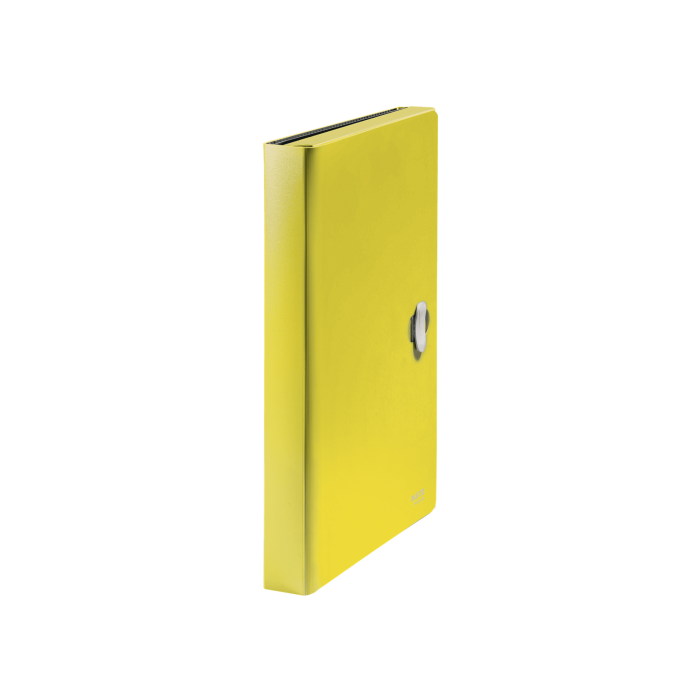 Carpeta Leitz Recycle Clasificador Fuelle Din A4 Polipropileno 5 Compartimentoscon Bolsillo Frontal Amarillo