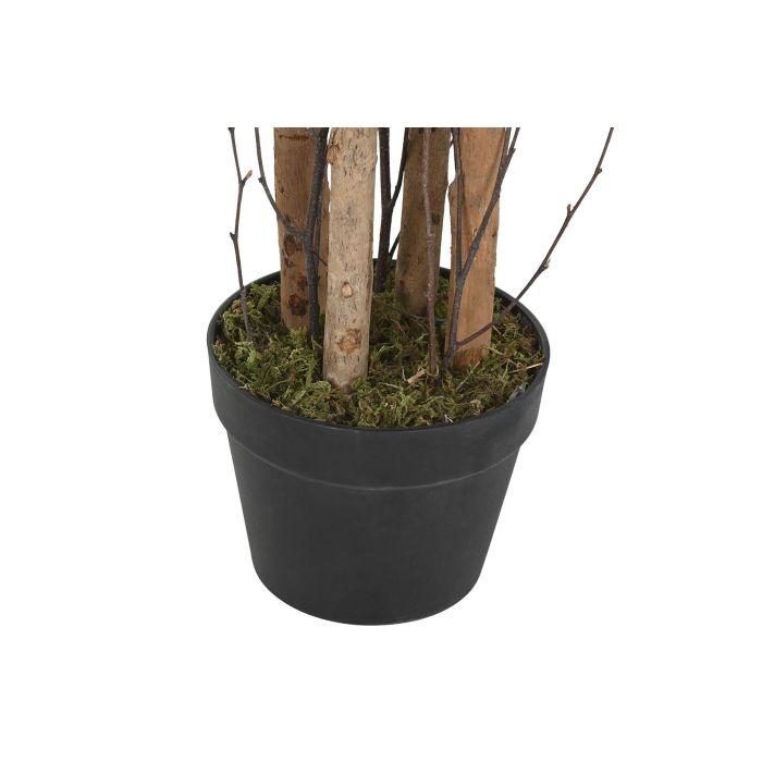 Arbol DKD Home Decor Verde 60 x 150 x 60 cm (2 Unidades) 3