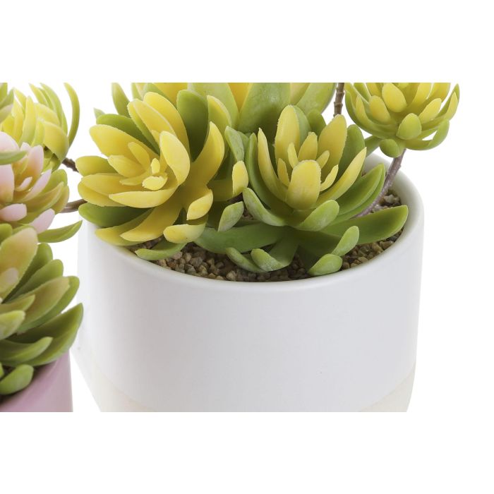 DKD Home Decor Planta Artificial con Maceta de Gres, Colores Surtidos (Rosa Palo, Amarillo), 13 cm Alto x 15 cm Ancho (Pack 4 Unidades) 2 DKD Home Decor Planta Artificial con Maceta de Gres, Colores Surtidos (Rosa Palo, Amarillo), 13 cm Alto x 15 cm Ancho (Pack 4 Unidades) 2