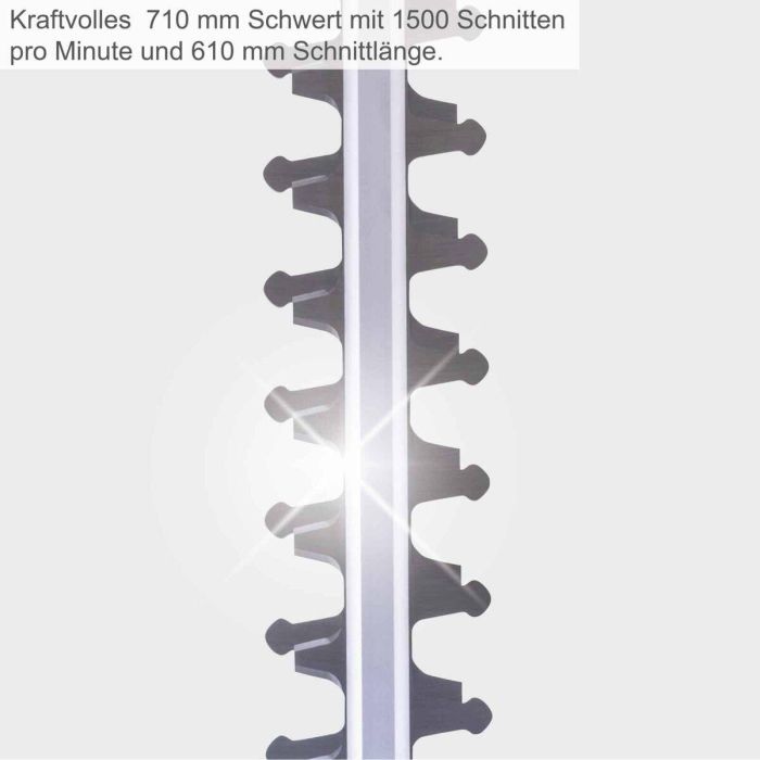 Cortasetos Scheppach 1