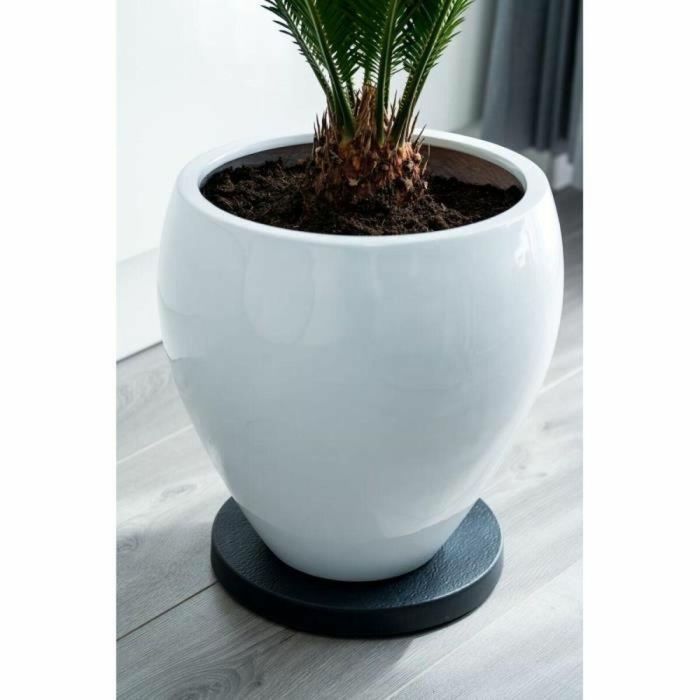 Nature Mesa enrollable para plantas de Polipropileno, base redonda con ruedas para macetas, Ø29.2 cm de diámetro, 4 cm de altura 2 Nature Mesa enrollable para plantas de Polipropileno, base redonda con ruedas para macetas, Ø29.2 cm de diámetro, 4 cm de altura 2