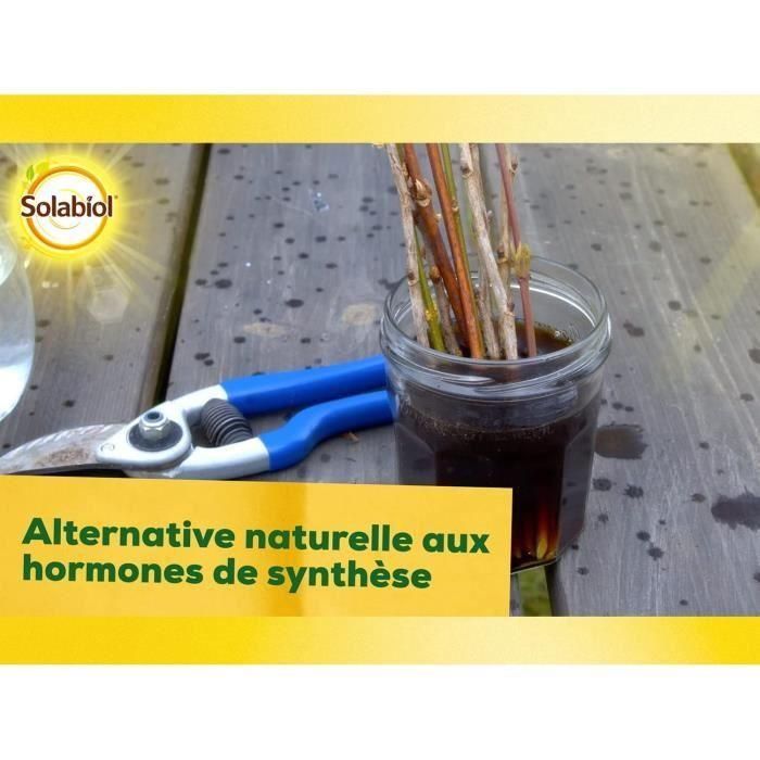 Solabiol SOBOUTU40 Osiryl Corte - Enraizante Esquejes y Plantas Trasplantadas 40 ml 5