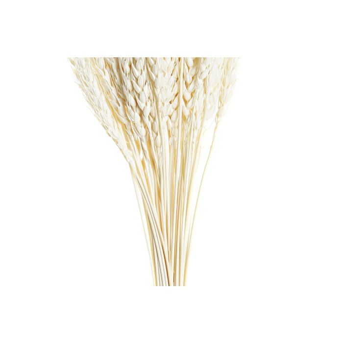 DKD Home Decor Rama Shabby Beige 20 x 64 x 20 cm (12 Unidades) 2