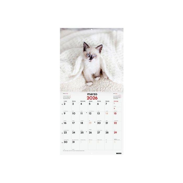 Calendario (2026) Finocam Pared Imagenes Mensual Para Escribir 300X300 Gatitos