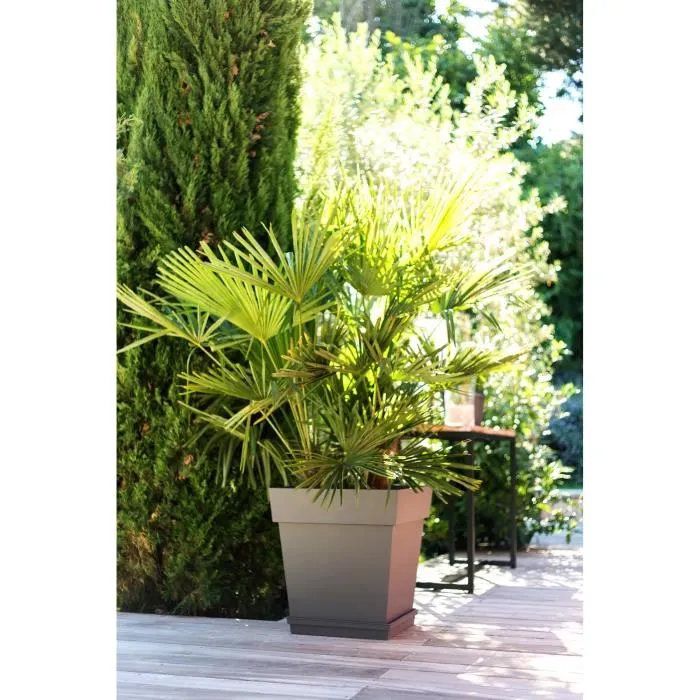 Eda Maceta Cuadrada Toscana 50 cm - 87 L - Taupe para Exterior e Interior, Jardín o Terraza 2 Eda Maceta Cuadrada Toscana 50 cm - 87 L - Taupe para Exterior e Interior, Jardín o Terraza 2
