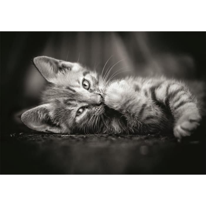 CLEMENTONI - Compacto 1000 piezas - Kitty 1 CLEMENTONI - Compacto 1000 piezas - Kitty 1
