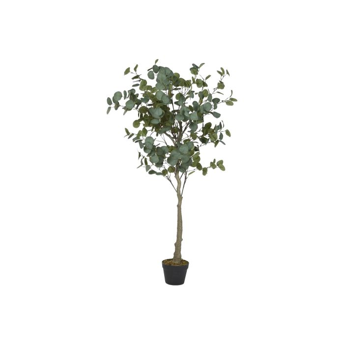 Planta Urban DKD Home Decor Verde Marron 60 x 150 x 60 cm (2 Unidades) Planta Urban DKD Home Decor Verde Marron 60 x 150 x 60 cm (2 Unidades)
