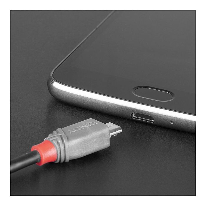 Lindy Cable USB 2.0 Tipo C a Micro-B 0.5m Anthra Line Lindy Cable USB 2.0 Tipo C a Micro-B 0.5m Anthra Line