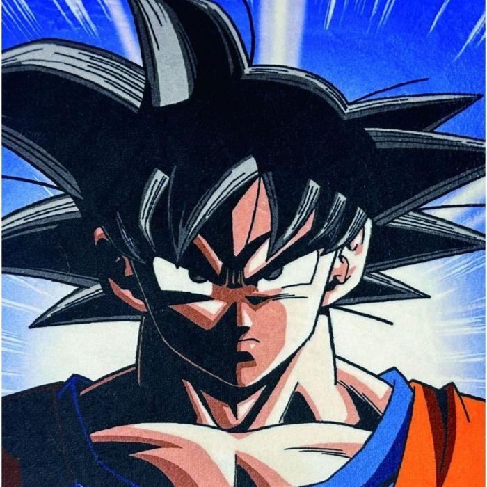 Dragon Ball Z AAAWI32489 - Cojín Doble Cara Cuadrado de Microfibra - Goku y Vegeta - 40 x 40 cm 3
