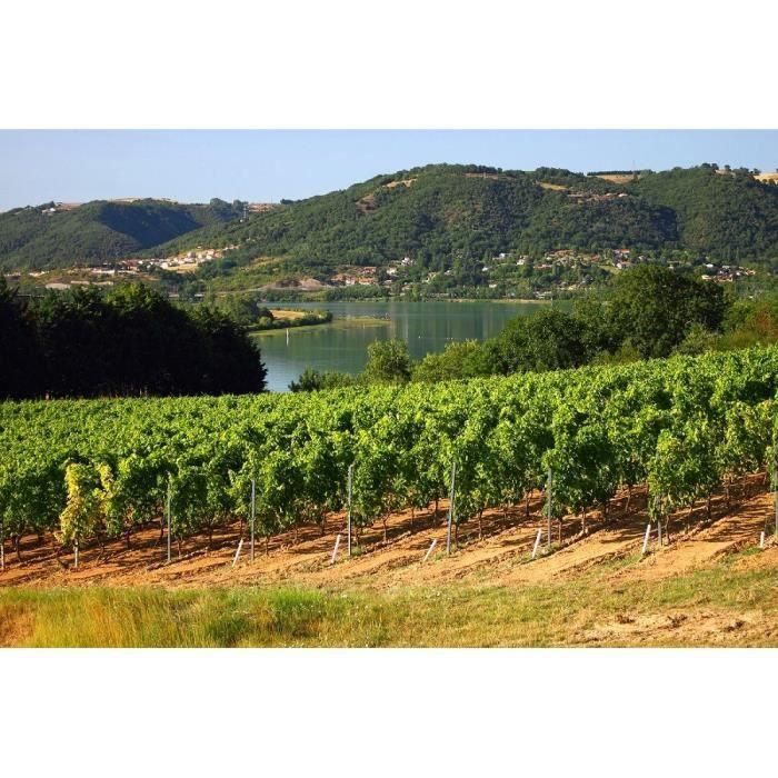 Les Combes de Saint-Sauveur 2019 Côtes du Rhône Village Plan de Dieu - Vino tinto del Valle del Ródano 3 Les Combes de Saint-Sauveur 2019 Côtes du Rhône Village Plan de Dieu - Vino tinto del Valle del Ródano 3