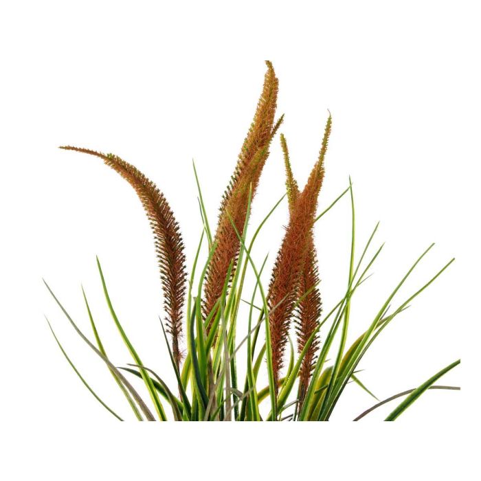 Planta Saco Grande Junco Surtidos Colores Ibergarden 13X46CM (12 Unidades) 2 Planta Saco Grande Junco Surtidos Colores Ibergarden 13X46CM (12 Unidades) 2